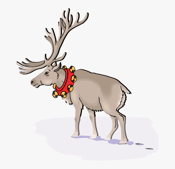 Северный олень на прозрачном фоне