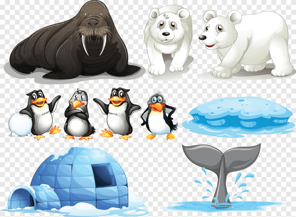 Животные Арктики на прозрачном фоне