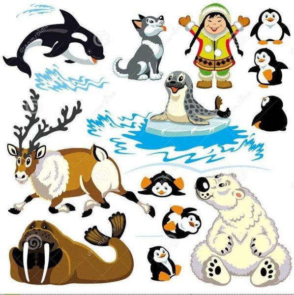 Жители севера животные