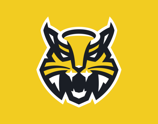 Логотип хк Северсталь Череповец