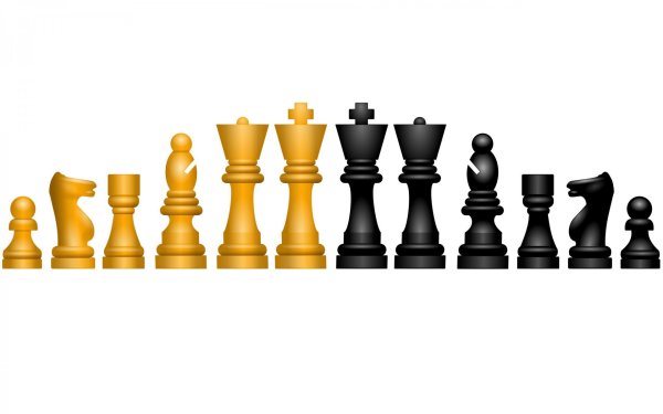 Шахматы фигуры на прозрачном фоне