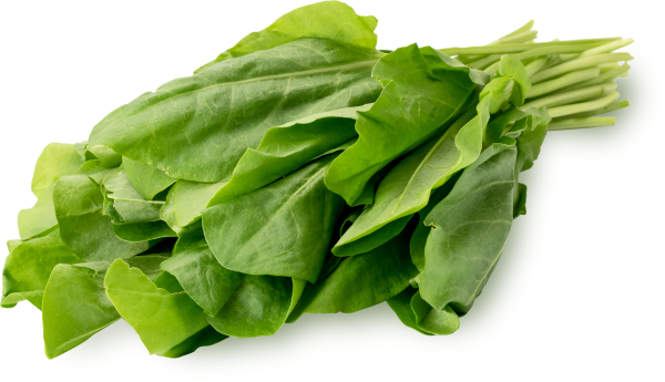 Щавель приправа