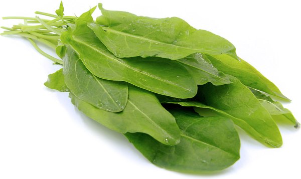 Мустанг щавель