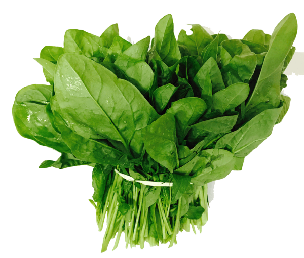 Щавель зелень