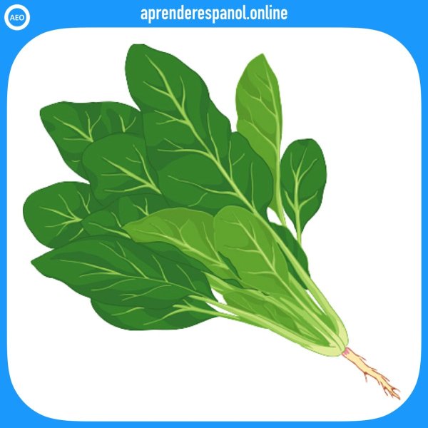 Шпинат вектор