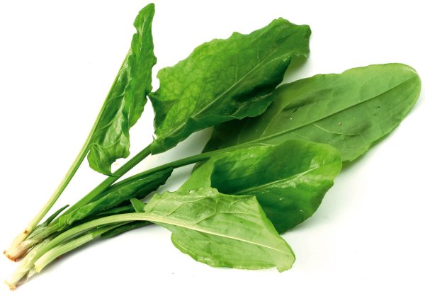 Щавель для детей