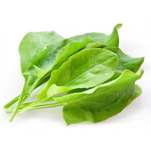 Щавель (100гр)