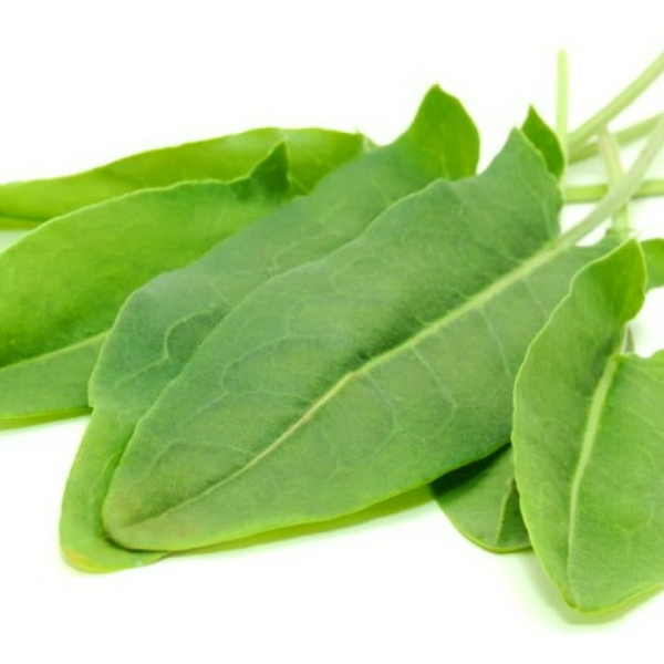 Щавель на белом фоне