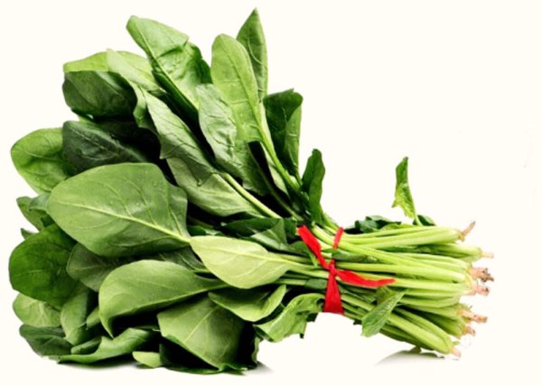 Щавель на белом фоне