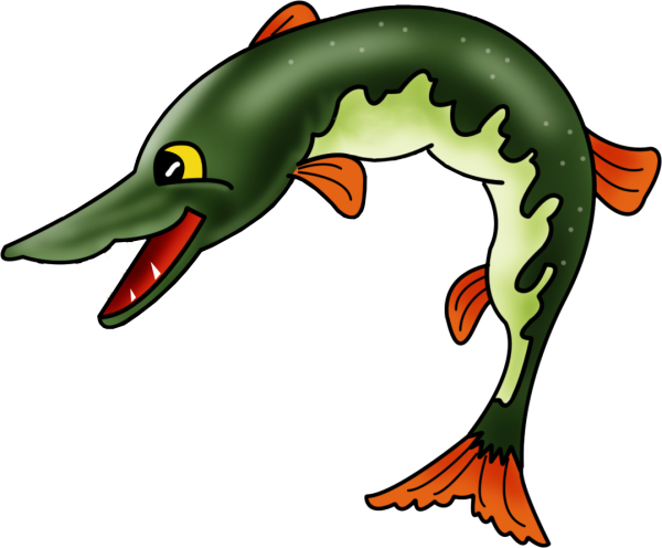 Щука рисунок