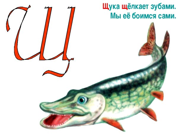 Щука мультяшная