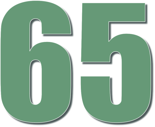 Цифра 65