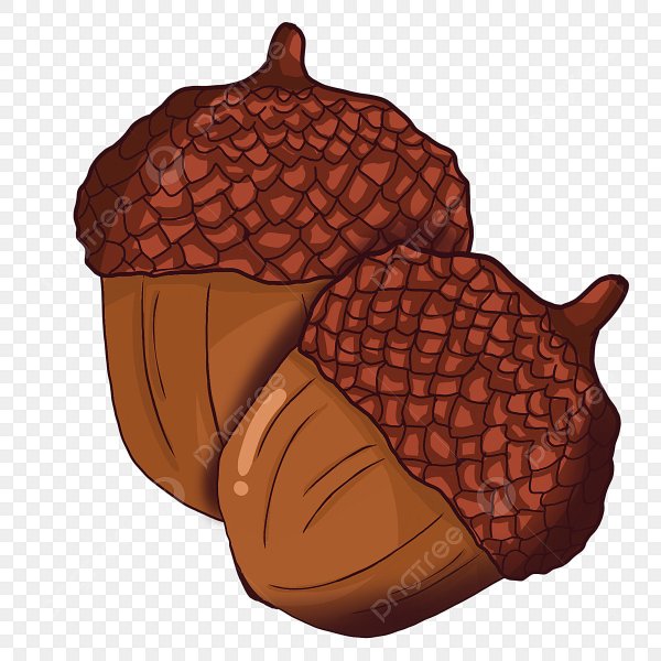 Шишка рисунок для детей на прозрачном фоне