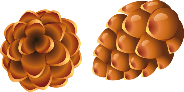 Шишка мультяшная