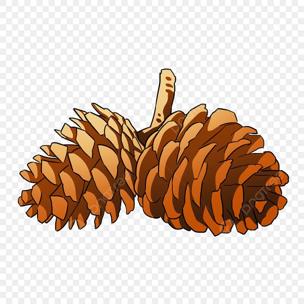 Шишка вектор