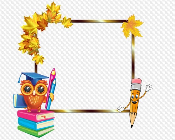 Прозрачные рамки школа