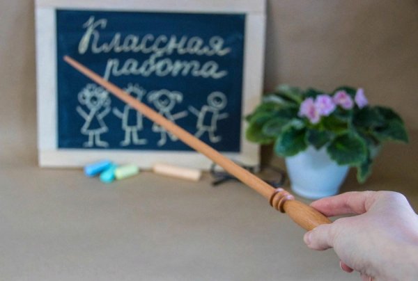 Учитель с указкой