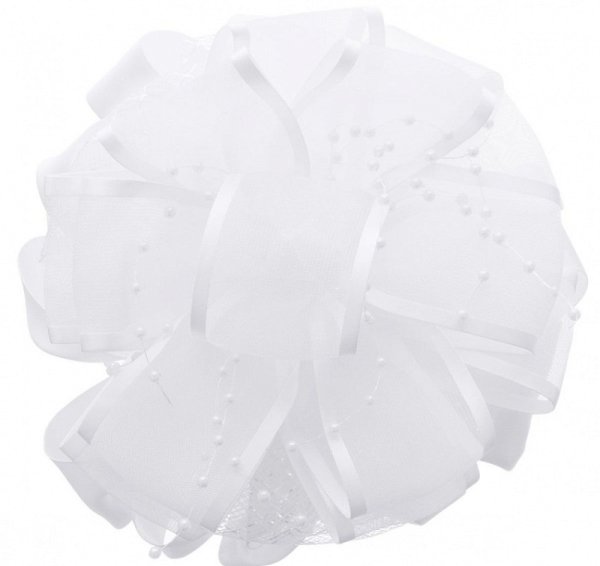 Школьные банты на белом фоне