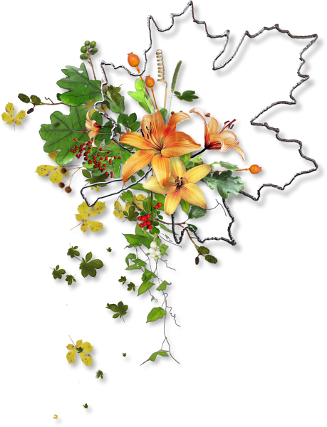 Цветочные кластеры на прозрачном фоне