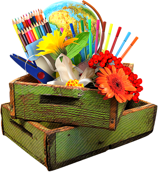 Школьная тематика атрибуты