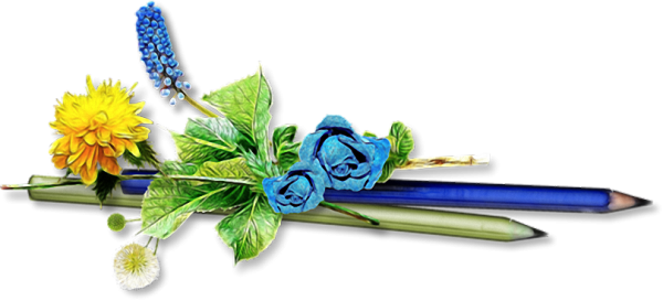 Школьный букет для фотошопа на прозрачном фоне