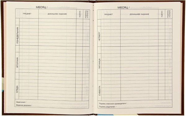 Школьный дневник