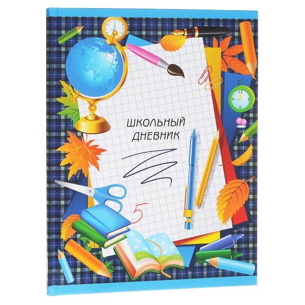Обложка дневника школьника