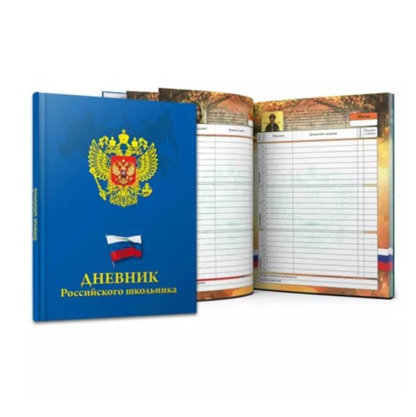 Дневник школьника