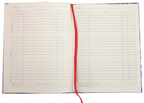 Раскрвтай школьный дневник