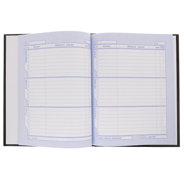 Дневник школьный открытый