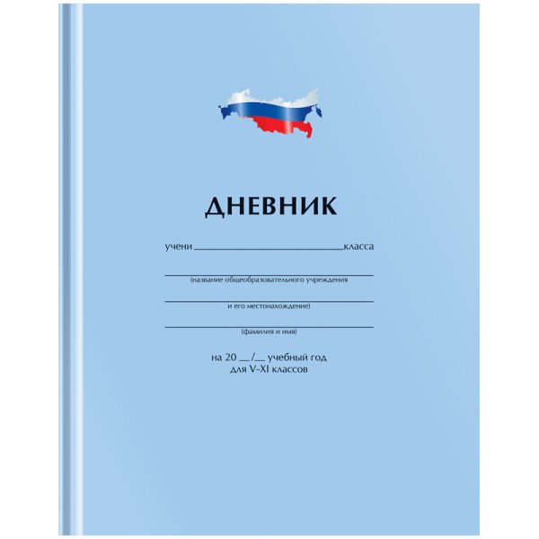 Дневник школьника