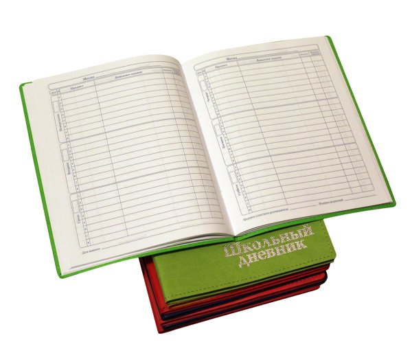 Школьный дневник
