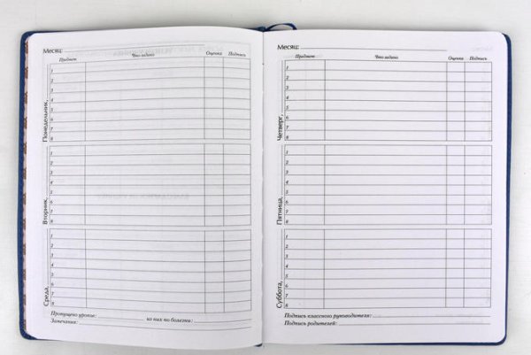 Дневник ученика
