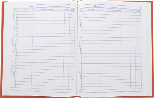 Дневник школьный "рок"