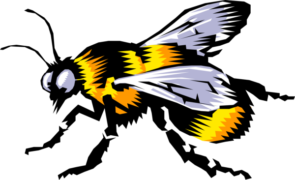 Шмель картинка для детей на прозрачном фоне