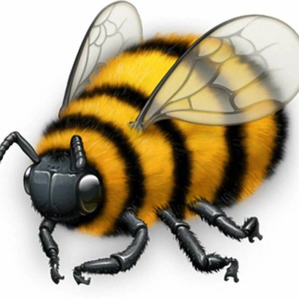 Шмель на белом фоне