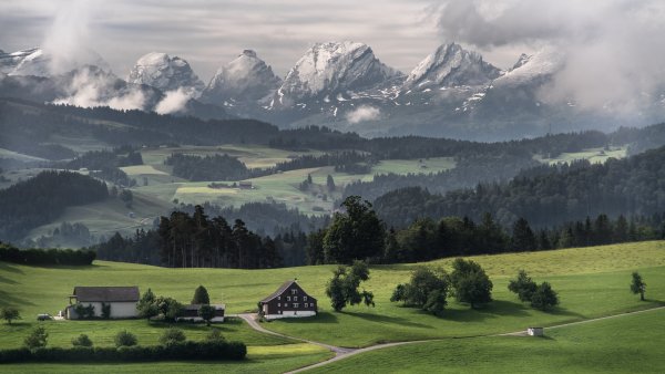 Дом в лесу в горах