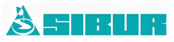 Сибур Нефтехим логотип