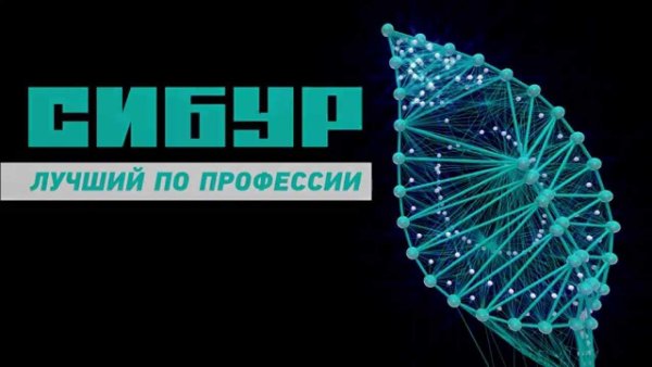 Сибур Нефтехим логотип