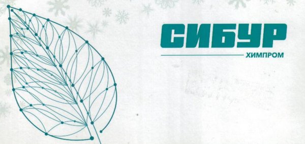 Сибур Пермь логотип