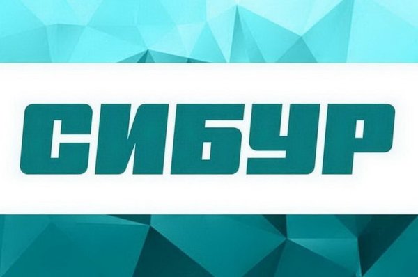 Сибур Нефтехим логотип