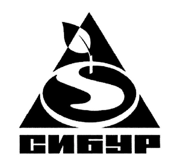 Сибур Нефтехим логотип