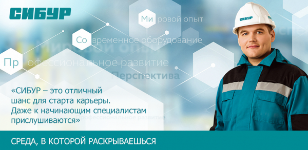 Сибур брендбук
