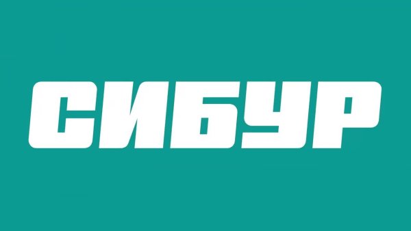 Сибур Нефтехим логотип