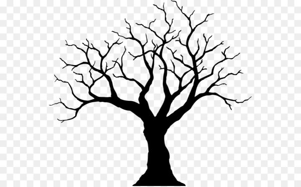 Контур ветки дерева