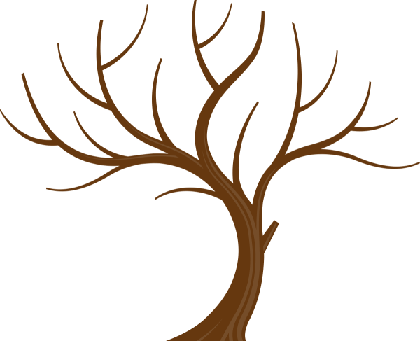 Дерево без листьев