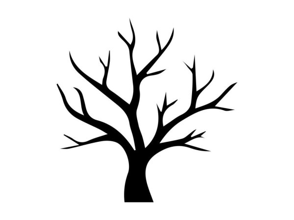 Силуэт дерева без листьев