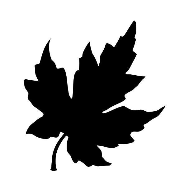Силуэт кленовых листьев