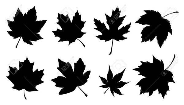 Лист клена силуэт