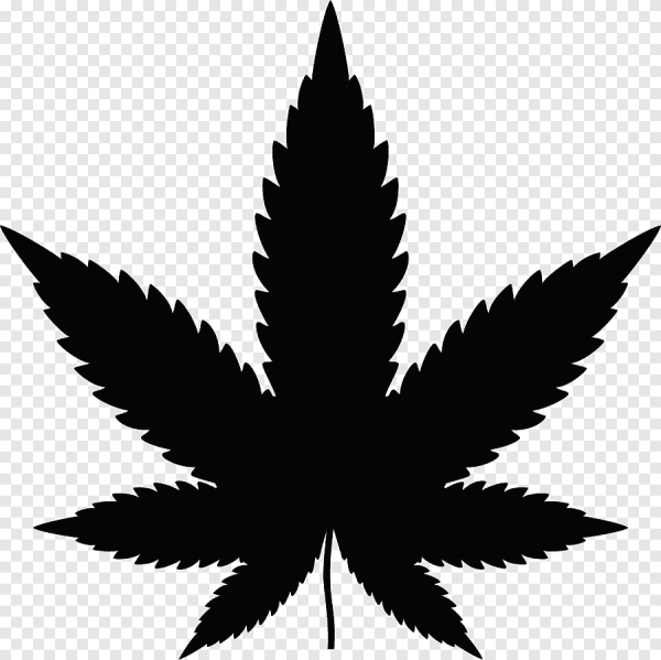 Лист марихуаны/лист каннабиса